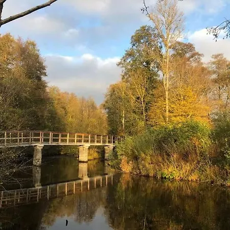 Le P'tit Nid : Mini Loft Pour 2 A 4 Personnes