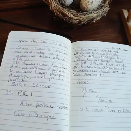 Semesterbostad Le P'tit Nid : Mini Loft Pour 2 A 4 Personnes Tellin