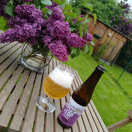 Semesterbostad Le P'tit Nid : Mini Loft Pour 2 A 4 Personnes Tellin